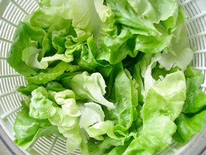 How to Pick Lettuce - The Accidental Locavore