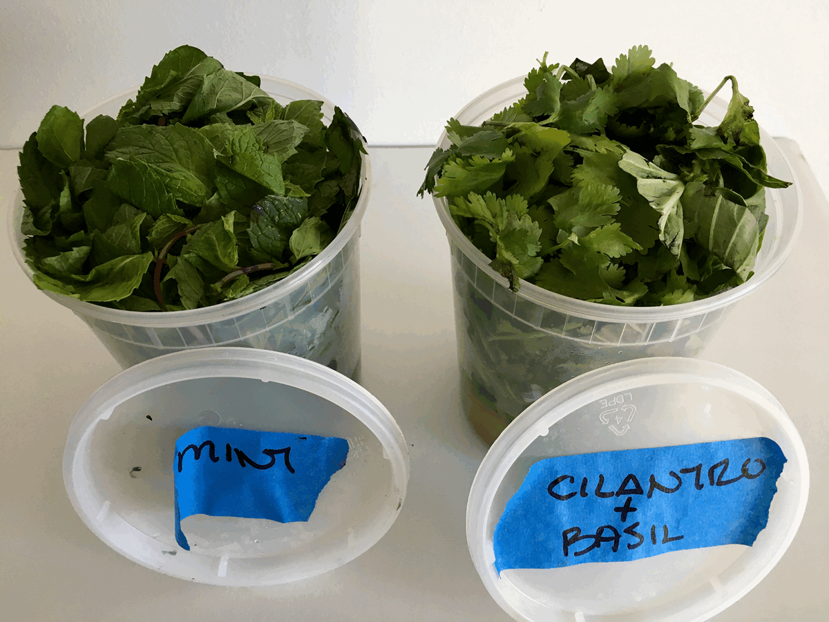 Where Fresh-To-Frozen Herb Cubes Meet the 'Ultimate Kitchen Hack